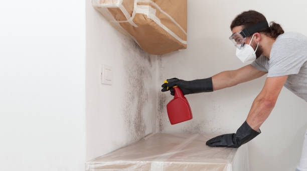 Professional Mold Removal technician working in Harrison, NJ
