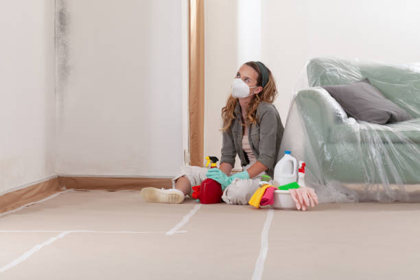 Reliable Mold Removal contractor in Harrison, NJ by 24 Hour Mold Removal